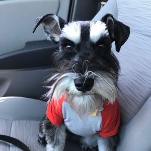 Meet your Posher, Jackie